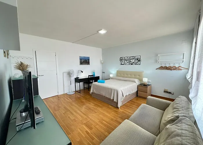 Vakantiehuis Aribau 133 *
